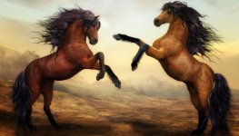 horses.jpg
