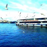IMG_20210608_085239.jpg
