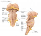 C6Qda7DVUAAsmto.jpg C6Qda7DVUAAsmto.jpg