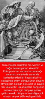 tr.jpg