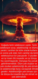 tr.jpg