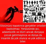 tr.jpg