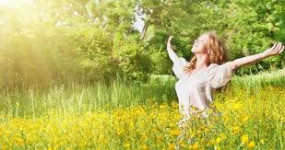 1761830107337.png 1761830107337.png